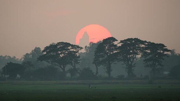 View of the large setting sun behind trees in a field Bangladesh.