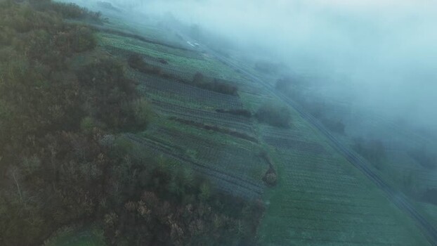 Aerial view of Vineyards and fog France.