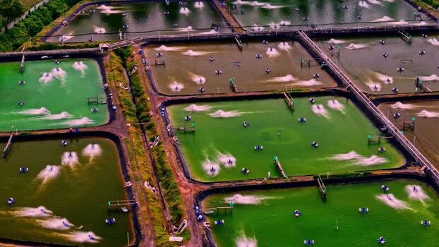 Aerial view of shrimp farming ponds in Bali Indonesia.