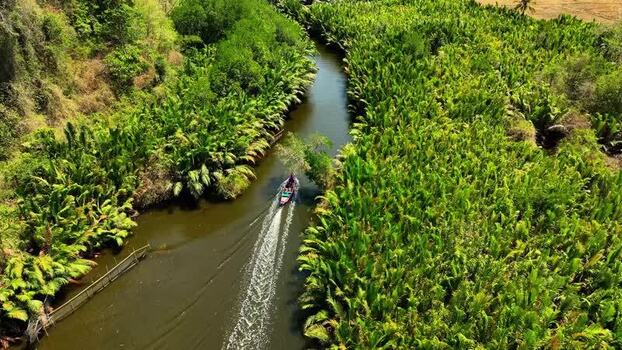 Aerial view of a boat cruising through a palm lined river in Indonesia. Aerial view of a boat cruising through a palm lined river in Indonesia.