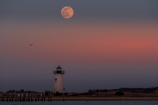 View of Edgartown Harbor Light under a large full moon and a pink dusk sky with a bird in flight and a wooden pier in Edgartown Massachusetts United States.