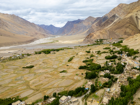 Aerial view of the Zanskar valley featuring traditional village houses nestled among green trees and agricultural fields surrounded by arid mountain ranges in Zanskar Ladakh India.