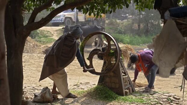 View of farmers using a manual fodder cutter in Patna India.