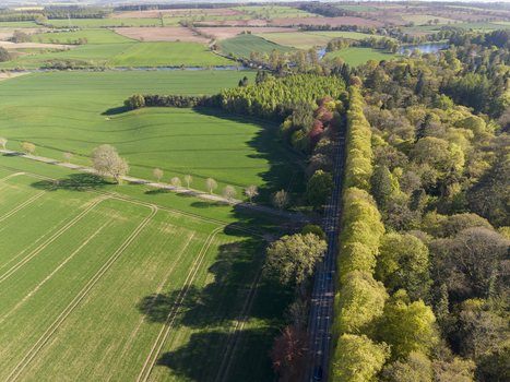 Aerial view of the Meikleour Beech Hedge with its towering green trees bordering a road vast agricultural fields and dense woodland in Meikleour Scotland United Kingdom.