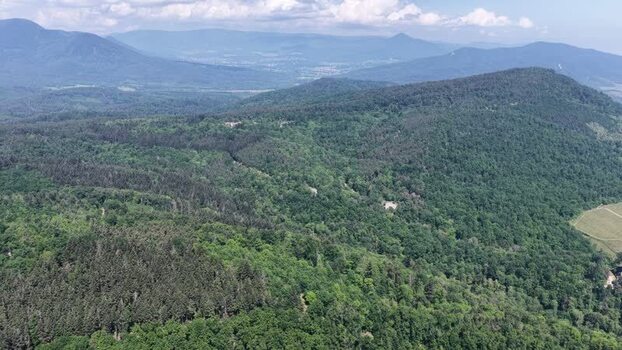 Aerial view of lush green forests and rolling hills France.
