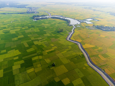 Aerial view of a serpentine river cutting through a vibrant patchwork of lush green and ripening golden fields a testament to the land s fertility Joypurhat Bangladesh. Aerial view of a serpentine river cutting through a vibrant patchwork of lush green and ripening golden fields a testament to the land s fertility Joypurhat Bangladesh.