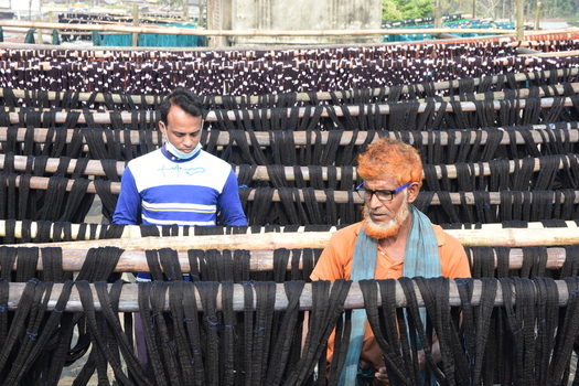Kushtia Khulna Division Bangladesh 27 December 2019 View of two workers drying long strands of black dyed yarn on wooden frames in a traditional textile workshop. Kushtia Khulna Division Bangladesh 27 December 2019 View of two workers drying long strands of black dyed yarn on wooden frames in a traditional textile workshop.