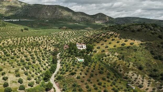 Aerial view of a villa and olive groves on a hillside Spain.