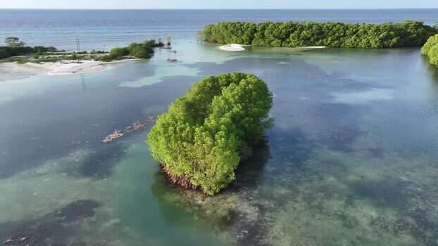 Aerial view of a lush mangrove island in a turquoise lagoon Maldives. Aerial view of a lush mangrove island in a turquoise lagoon Maldives.