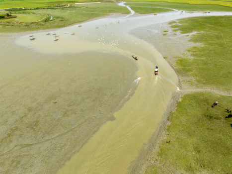 Aerial view of boats navigating through the muddy river amidst vibrant green fields creating a striking contrast of colors and textures Charmonai Barisal Division Bangladesh. Aerial view of boats navigating through the muddy river amidst vibrant green fields creating a striking contrast of colors and textures Charmonai Barisal Division Bangladesh.