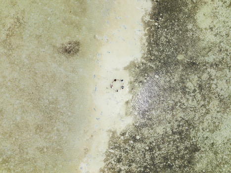 Aerial view of contrasting shades of turquoise water meeting the sandy shore at Bobby Beach a serene coastal vista Karimunjawa Central Java Indonesia.