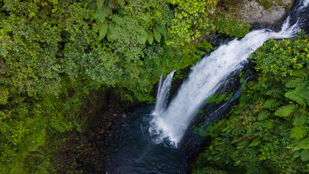 Aerial view of Gomblang Waterfall cascading into a dark pool surrounded by dense tropical jungle and vibrant green ferns in Kecamatan Kedungbanteng Jawa Tengah Indonesia. Aerial view of Gomblang Waterfall cascading into a dark pool surrounded by dense tropical jungle and vibrant green ferns in Kecamatan Kedungbanteng Jawa Tengah Indonesia.