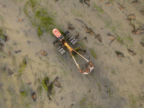 Aerial view of a farmer operating a walk behind tractor in a flooded rice paddy field on Sumbawa island West Nusa Tenggara Indonesia. Aerial view of a farmer operating a walk behind tractor in a flooded rice paddy field on Sumbawa island West Nusa Tenggara Indonesia.