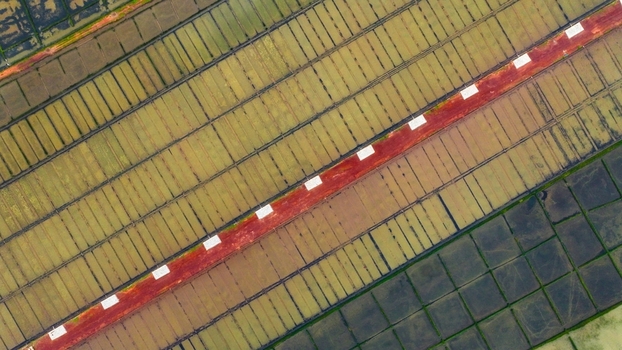 Aerial view of salt pans with a vibrant red path and white markers in the agricultural landscape of Gokarna Karnataka India. Aerial view of salt pans with a vibrant red path and white markers in the agricultural landscape of Gokarna Karnataka India.