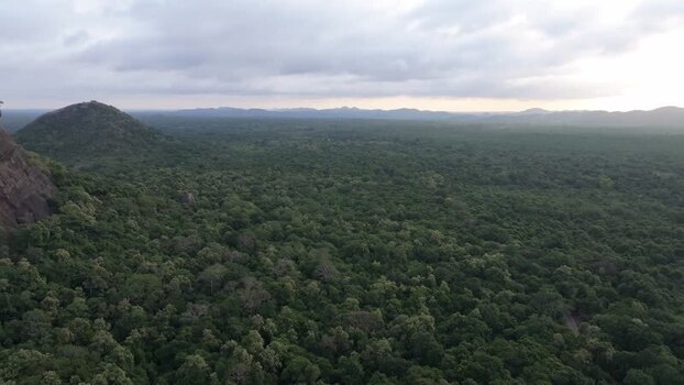 Aerial view of Sigiriya Lion Rock and jungle canopy Sri Lanka. Aerial view of Sigiriya Lion Rock and jungle canopy Sri Lanka.