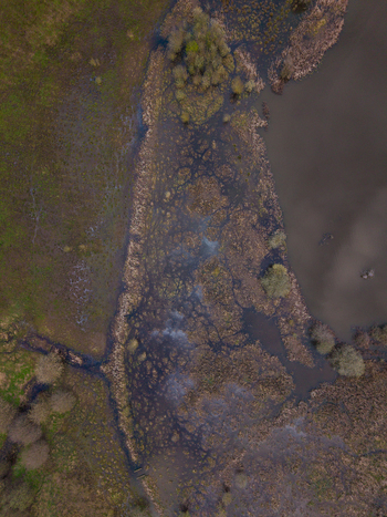 Aerial view of Doxey Marshes with wetlands marshy terrain and scattered trees in Stafford England United Kingdom. Aerial view of Doxey Marshes with wetlands marshy terrain and scattered trees in Stafford England United Kingdom.