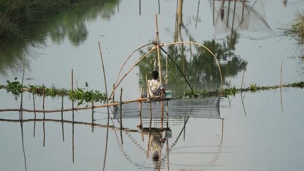 View of a fisherman using a traditional lift net in Bogura Bangladesh.
