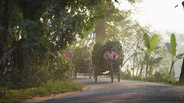 View of men transporting vegetables on a rural road Bangladesh. View of men transporting vegetables on a rural road Bangladesh.