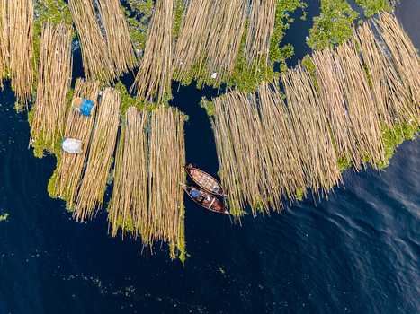 Aerial view of Sadarghat on the Buriganga River showing wooden boats navigating through bundles of bamboo floating in water amidst aquatic vegetation in Dhaka Dhaka Division Bangladesh. Aerial view of Sadarghat on the Buriganga River showing wooden boats navigating through bundles of bamboo floating in water amidst aquatic vegetation in Dhaka Dhaka Division Bangladesh.
