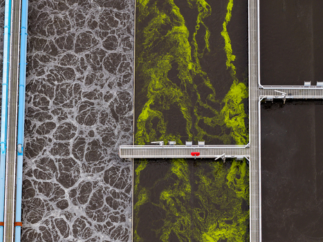 Aerial view of Klarwerk Ruhleben wastewater treatment plant with aeration tanks showing contrasting foam and green biological patterns in Berlin Germany.