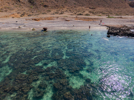 Aerial view of turquoise waters meeting the rugged coastline where rocky outcrops stand guard against the vast expanse of the sea Siqirah Socotra Yemen. Aerial view of turquoise waters meeting the rugged coastline where rocky outcrops stand guard against the vast expanse of the sea Siqirah Socotra Yemen.