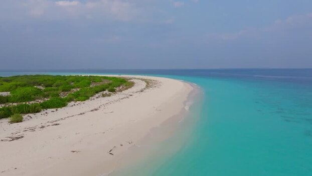 Aerial view of beach with green vegetation Maldives.