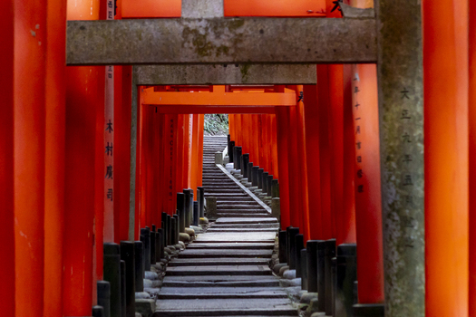 View of the traditional Senbon Torii vermilion gates lining a stone staircase path through the forest at Fushimi Inari taisha shrine in Kyoto Kyoto Japan.