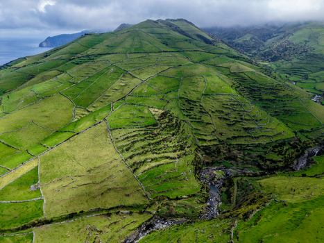 Aerial view of emerald pastures quilted across undulating hills bisected by a winding stream creating a vibrant tapestry of nature Flores A&ccedil;ores Portugal.