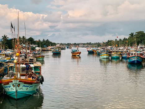 Sri Lanka 19 April 2024 View of colorful wooden fishing boats moored in a harbor with palm trees under a cloudy sky.