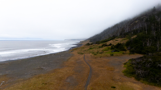 Aerial view of the Lost Coast featuring a dark sand beach a winding dirt path and misty forested hills along the Pacific Ocean in Humboldt County California United States.