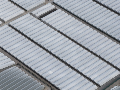 Aerial view of vast rows of white plastic greenhouses and agricultural tunnels in Paestum Campania Italy.