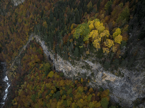 Aerial view of the Pyrenees mountains featuring a dense forest with vibrant autumn foliage rocky cliffs and a flowing stream in Spain. Aerial view of the Pyrenees mountains featuring a dense forest with vibrant autumn foliage rocky cliffs and a flowing stream in Spain.