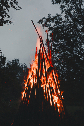 View of a traditional Midsummer bonfire with tall wooden logs burning brightly against a dark forest background Laane County Estonia.