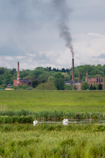 View of a factory with smoking brick chimneys situated behind a lush green meadow and a pond with two white swans in Debrzno Pomeranian Voivodeship Poland. View of a factory with smoking brick chimneys situated behind a lush green meadow and a pond with two white swans in Debrzno Pomeranian Voivodeship Poland.