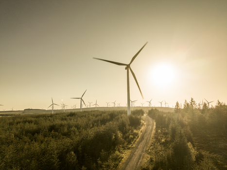Aerial view of wind turbines at Eaglesham moor standing over a dense forest and a dirt track during a golden sunset Kilmarnock Scotland United Kingdom.