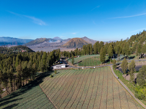 Aerial view of Cemoro Lawang village with terraced vegetable fields pine forests and the volcanic landscape of Mount Bromo in Kecamatan Sukapura Jawa Timur Indonesia. Aerial view of Cemoro Lawang village with terraced vegetable fields pine forests and the volcanic landscape of Mount Bromo in Kecamatan Sukapura Jawa Timur Indonesia.