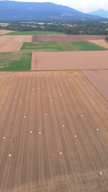 Aerial view of round hay bales in agricultural fields Switzerland.