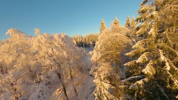 FPV aerial view of snow covered forest in Germany.