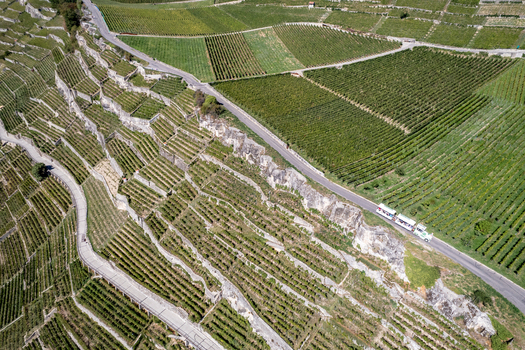Aerial view of the terraced vineyards of Vignoble du Lavaux with stone walls winding roads and a small tourist train traveling through the landscape in Rivaz Vaud Switzerland.