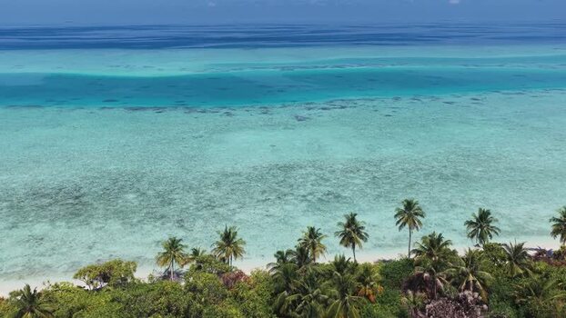 Aerial view of tropical beach and coral reef Maldives.