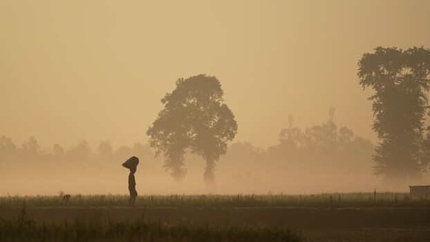 View of a person walking through misty fields in Bogura Bangladesh.