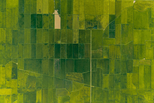 Aerial view of the lush green rice paddies surrounding Lak Lake showcasing the geometric patterns of agricultural fields in Lien Son Lak Dak Lak Vietnam. Aerial view of the lush green rice paddies surrounding Lak Lake showcasing the geometric patterns of agricultural fields in Lien Son Lak Dak Lak Vietnam.