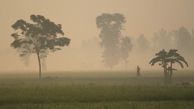 View of a person walking in a misty field Bangladesh. View of a person walking in a misty field Bangladesh.