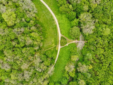 Aerial view of a junction of dirt paths winding through a dense green forest with lush foliage and trees in Wetton England United Kingdom. Aerial view of a junction of dirt paths winding through a dense green forest with lush foliage and trees in Wetton England United Kingdom.