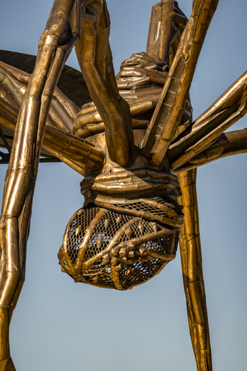 View of the Maman spider sculpture by Louise Bourgeois with its intricate bronze texture and long legs against a clear blue sky at the Guggenheim Museum Bilbao Euskadi Spain. View of the Maman spider sculpture by Louise Bourgeois with its intricate bronze texture and long legs against a clear blue sky at the Guggenheim Museum Bilbao Euskadi Spain.