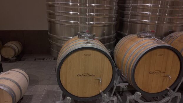 View of wine barrels at Couhins Lurton France.
