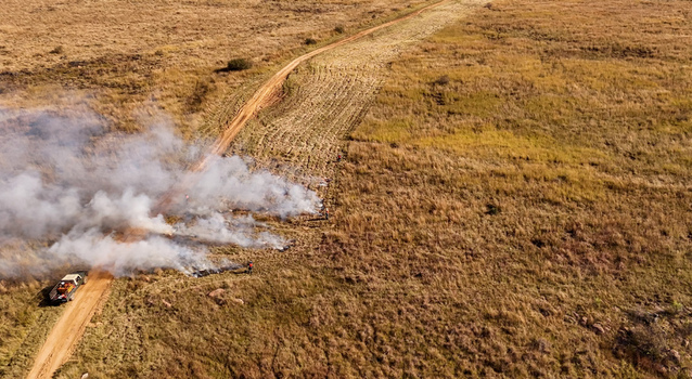 Aerial view of a controlled grassland burn creating a firebreak with workers managing the fire near a dirt road in the dry savanna landscape of Modimolle Limpopo South Africa. Aerial view of a controlled grassland burn creating a firebreak with workers managing the fire near a dirt road in the dry savanna landscape of Modimolle Limpopo South Africa.