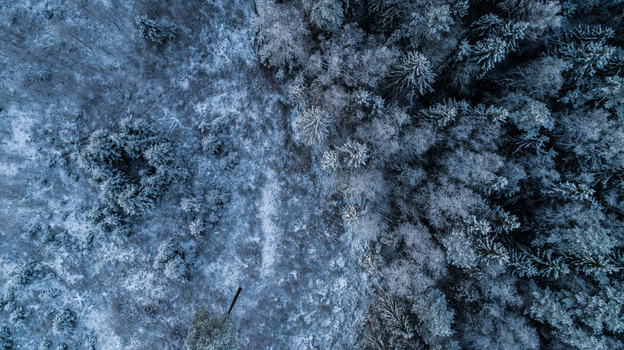 Aerial view of a dense forest covered in snow during winter with frost covered treetops and shadows in Latvia. Aerial view of a dense forest covered in snow during winter with frost covered treetops and shadows in Latvia.