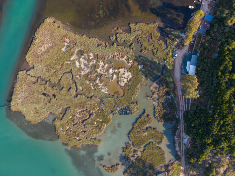 Aerial view of Kanali i Vivarit featuring marshy wetlands circular fish farm pens and a dirt road along the turquoise water in Vrine Vlore County Albania. Aerial view of Kanali i Vivarit featuring marshy wetlands circular fish farm pens and a dirt road along the turquoise water in Vrine Vlore County Albania.