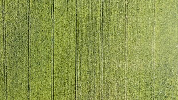 Aerial view of a green field France.